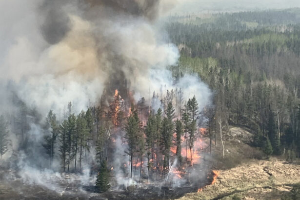 video peste 17 000 de persoane evacuate din cauza incendiilor de vegetatie in centrul canadei flacarile se deplasau foarte repede 68381fd8e0b5b