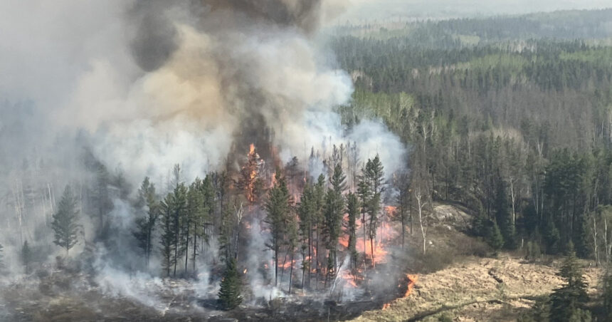 video peste 17 000 de persoane evacuate din cauza incendiilor de vegetatie in centrul canadei flacarile se deplasau foarte repede 68381fd8e0b5b