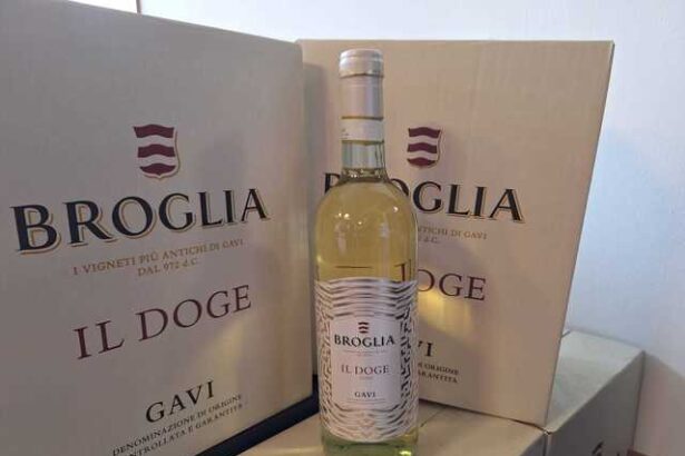 vinul zilei un vin alb cu note florale vegetale si de fructe albe proaspat si reconfortant perfect pentru aperitive preparate usoare sau momente de relaxare in compania celor dragi 682ec02692595