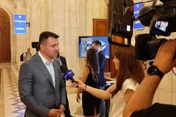 abordare europeana strategica noua la marea neagra crusoveanu pnl sunt necesare investitii in infrastructura portuara si logistica in special in portul constanta 684046e16eb41