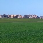 administratia locala va amenaja un parc generos dar a suspendat puz ul pentru cartierul care ar trebui sa beneficieze de el 68509249445e3