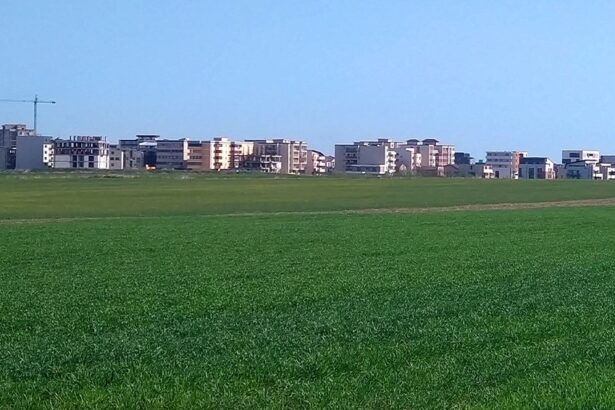 administratia locala va amenaja un parc generos dar a suspendat puz ul pentru cartierul care ar trebui sa beneficieze de el 68509249445e3