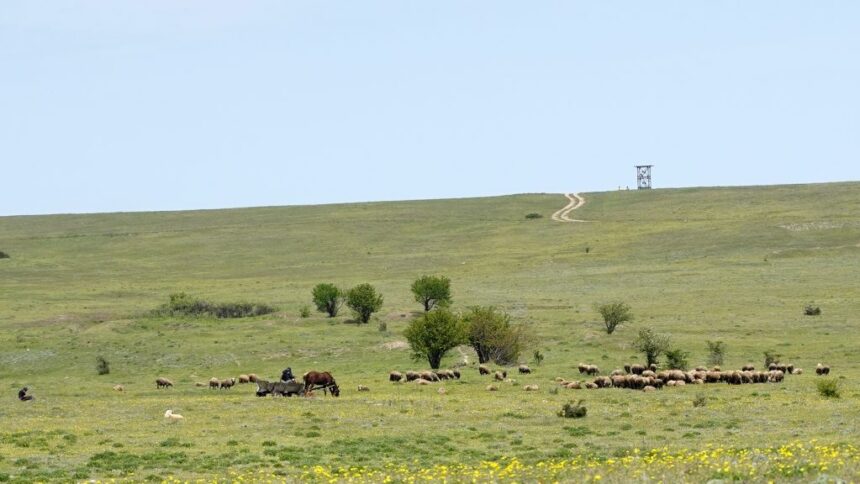 aproape si a omorat fosta iubita pe camp dar nu mai vrea la inchisoare judecatorii au alta parere 6840d66fe9e70