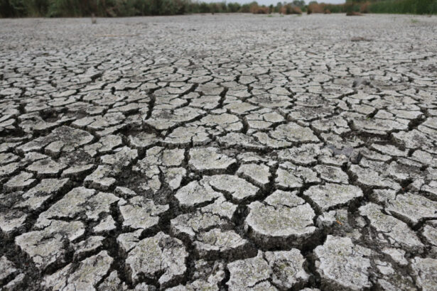 avertismentul climatologilor peste jumatate din europa a fost afectata de seceta pana la jumatatea lunii mai care e situatia romaniei 683ee52e98109