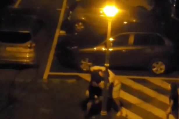 bataie urmata de decesul unuia dintre participanti agresorul responsabil asteapta verdictul final 684f58f9b074d