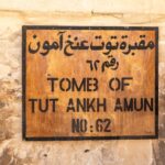 blestemul lui tutankhamon ar putea trata cancerul 685eae083251f