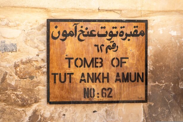 blestemul lui tutankhamon ar putea trata cancerul 685eae083251f