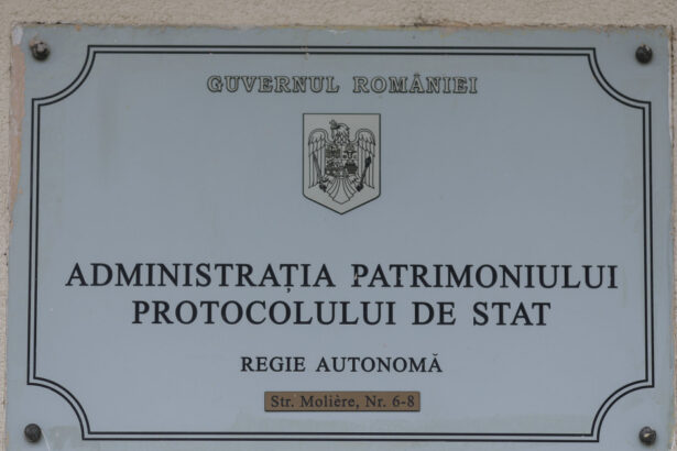bolojan critica functionarea ra apps la un salariu de 20 000 euro nu v ati interesat de ce platiti unui intermediar sume exorbitante 685ef75d18231