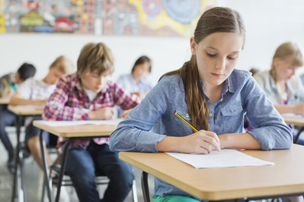 cand se afiseaza rezultatele de la evaluarea nationala 2025 care este termenul limita pentru depunerea contestatiilor 68592e9824331