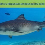 care este cel mai lung peste din ocean 6856da22df92f