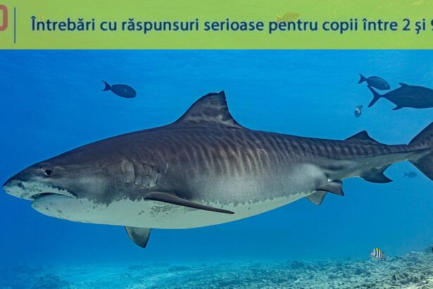 care este cel mai lung peste din ocean 6856da22df92f