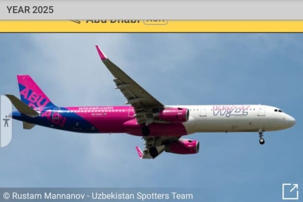 caz revoltator 120 de romani dintr un avion wizz air discriminati pe aeroport dupa ce aeronava a fost intoarsa din drum strainilor li s a oferit cazare noua nu 685bcdeeb445f