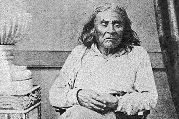 chief seattle razboinicul cu o viziune cu mult inaintea vremurilor sale pamantul nu ne apartine noi apartinem pamantului 685eae499ada5