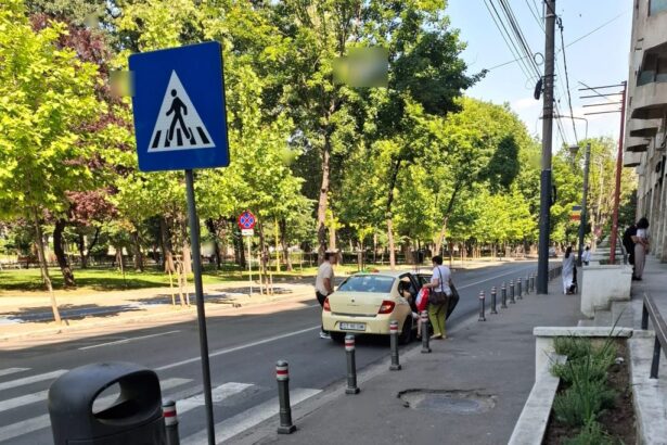 coada la trecerea de pietoni din cauza unui taximetrist care a pornit luminile de avarii pentru a mai discuta cu clientii in fata magazinului 685a7ca79036e