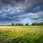 cod galben de vant puternic in moldova sudul banatului si in vestul si sudul olteniei 685fab077d0e6