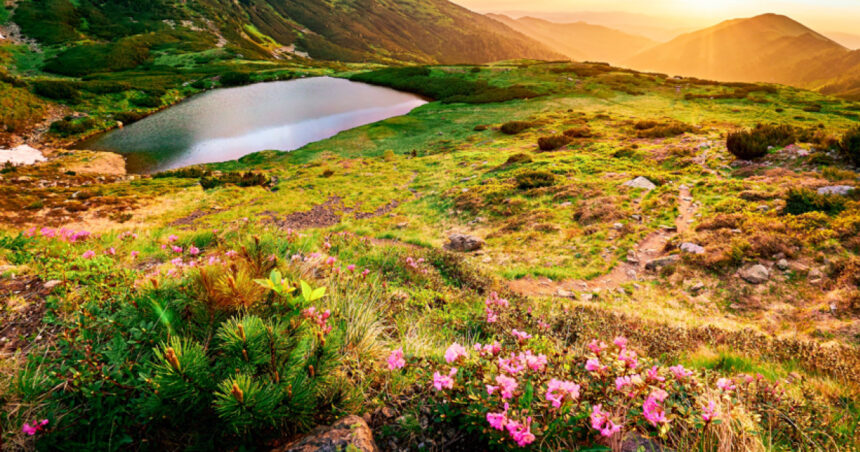 comisia europeana romania are termen doua luni sa ia masuri pentru a si proteja si gestiona siturile natura 2000 ce urmeaza apoi 6852e7ec8ee34