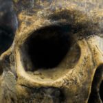 craniul misterios al unei femei vechi de 6 200 de ani ii uimeste pe arheologi 685ff8800f49c
