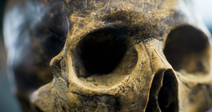 craniul misterios al unei femei vechi de 6 200 de ani ii uimeste pe arheologi 685ff8800f49c