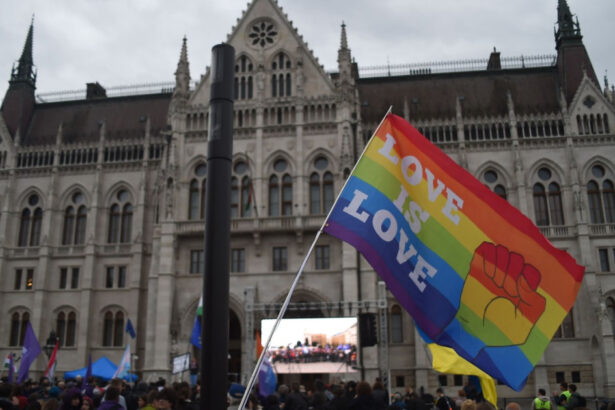 curtea constitutionala a ungariei a decis recunoasterea casatoriilor cuplurilor homosexuale in strainatate 68405a57e10af