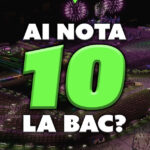 daca ai luat 10 la bac ai bilet gratuit la beach please 68484202e8ba6