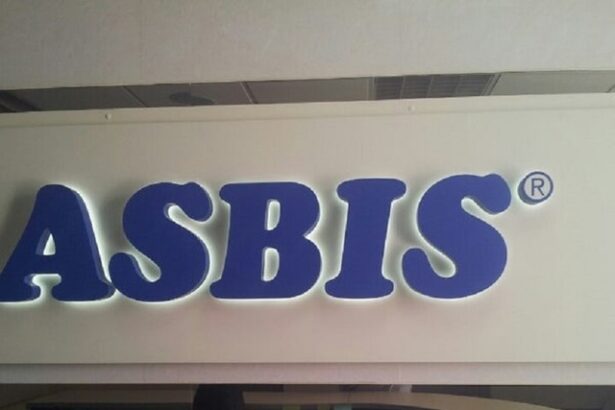 distribuitorul asbis in 2024 avans marginal al afacerilor profit net in scadere 685e280a9183f