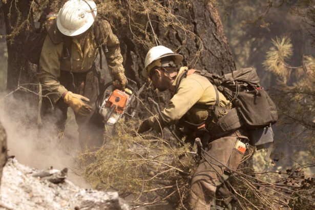 doi morti si un ranit in sua dupa ce pompierii care interveneau la un incendiu de vegetatie au fost atacati in statul idaho 6862179915265