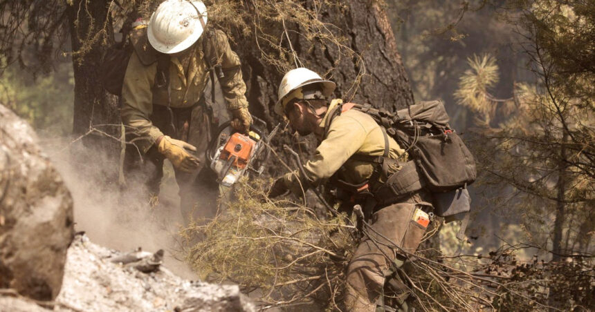 doi morti si un ranit in sua dupa ce pompierii care interveneau la un incendiu de vegetatie au fost atacati in statul idaho 6862179915265