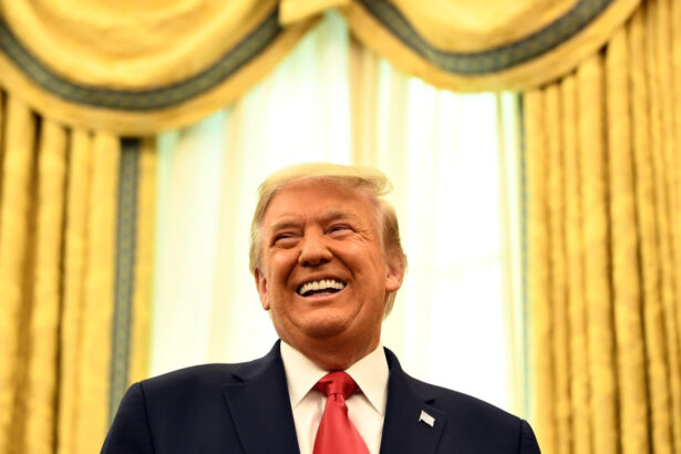 donald trump s a aratat deschis ca vladimir putin sa medieze incetarea razboiului dintre israel si iran si sua s ar putea implica 684ef2c880fc0