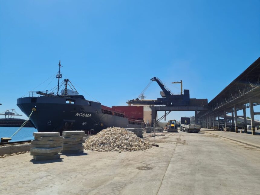 doua firme cercetate in dosarul mita in portul constanta isi cer falimentul in instanta 68529318783e7