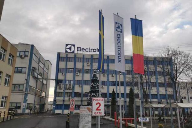 electrolux in romania cele mai bune cifre din ultimul deceniu romania are toate atuurile de a se transforma intr un hub important electrolux isi propune sa accelereze ritmul de crestere 685c6d2112b54