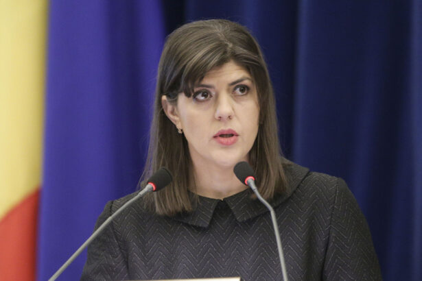 exclusiv laura codruta kovesi subliniaza ca frauda cu tva ne afecteaza pe toti banii ies din bugetul cetatenilor exemple concrete 684c48d0e137f