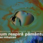 expozitie de fotografie a regizorului dan mihalcea la delfinariu 684f5b0d124eb