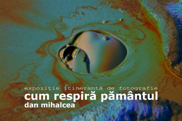 expozitie de fotografie a regizorului dan mihalcea la delfinariu 684f5b0d124eb