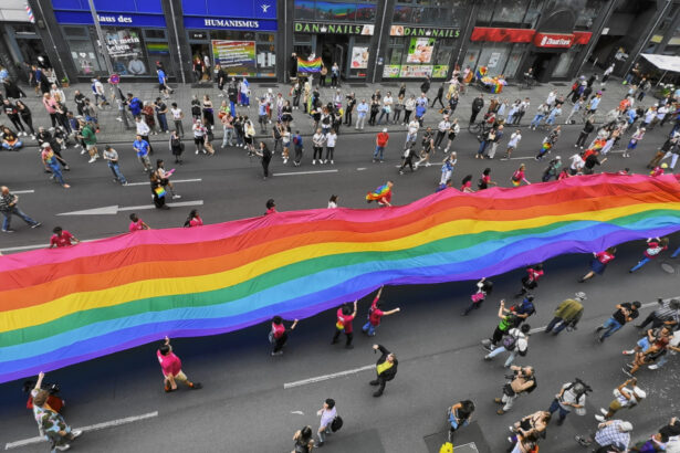 extrema dreapta foloseste drepturile lgbtq ca arma in europa pentru a semana disensiune spun activistii 683c4914a9da6