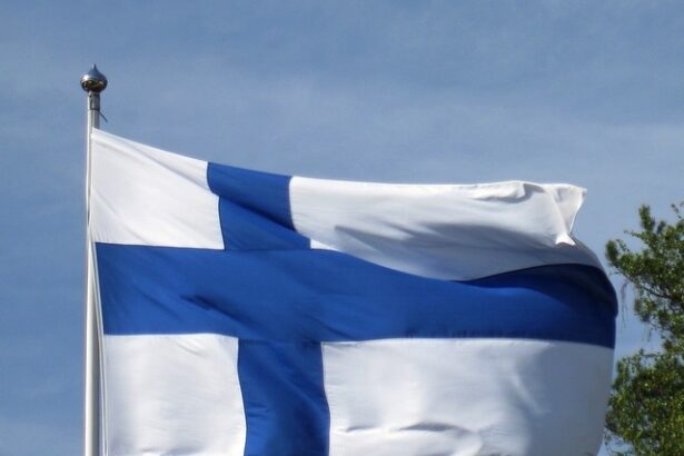 finlanda inchide cu o bariera alt tronson al frontierei cu rusia 685bdd33ea2b5