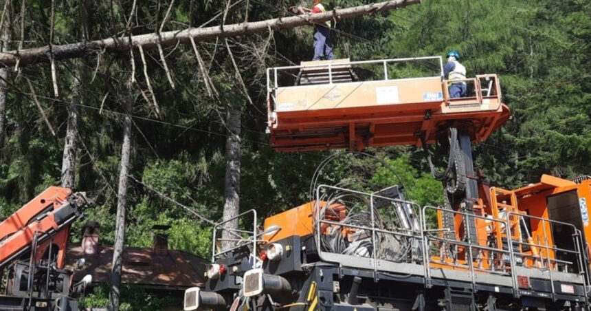 foto circulatia trenurilor intre sinaia busteni reluata dupa ce un copac a cazut pe linia de contact 2 106 minute de intarziere cumulate 6862273a9ef05