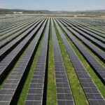 foto danezii de la eurowind energy investesc in romania peste 174 milioane euro in dezvoltarea unui nou parc fotovoltaic va deveni cel mai mare din portofoliul local al companiei 685baf4cef941