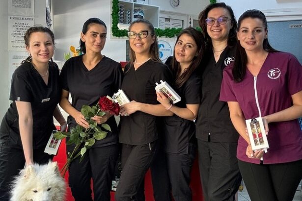 foto partnervet sprijinit de d craig holding si de vetimex capital continua extinderea operatiunilor si preia o clinica de stomatologie veterinara 685cef518df1c