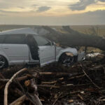 Un copac doborât de vânt a căzut peste o maşină cu două femei şi doi copii în Teleorman 3 foto un copac doborat de vant a cazut peste o masina in care se aflau doua femei si doi copii in teleorman 685ef9c8791f5