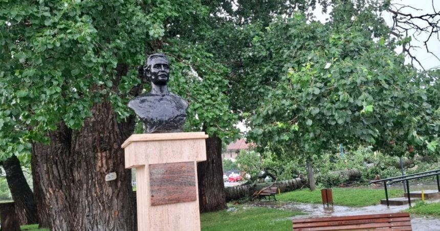 foto unul dintre copacii care l au inspirat pe mihai eminescu a cazut in iasi interventie de urgenta a isu 6849acdb73dc8