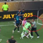 galerie foto s a lasat cu scandal la finalul meciului inter river plate cristi chivu a sprintat 70 de metri sa l opreasca 685cbfd225e88