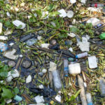 garda de mediu a controlat aproape toate localitatile din tara gradul de reciclare a deseurilor a scazut in loc sa creasca 6853a613347cc
