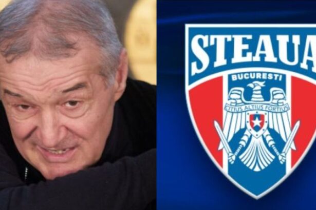 gigi becali a taxat o pe steaua de ce sa fie aberatie csa a facut licitatie s a facut hotarare de guvern 685f0e9719bdd