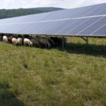 grafice de ce produc prosumatorii mai multa energie decat marile parcuri comerciale desi au capacitati instalate similare 683e80b35e998