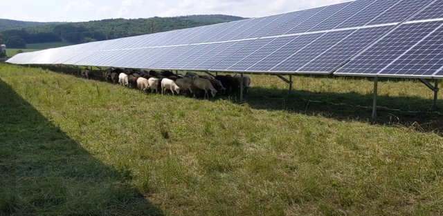 grafice de ce produc prosumatorii mai multa energie decat marile parcuri comerciale desi au capacitati instalate similare 683e80b35e998