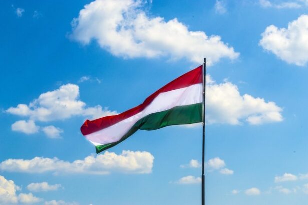 guvernul ungar va privatiza o mare parte din participatia pe care o detine in industria de aparare 684ac7b3c9d26