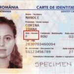 Ministrul care a introdus în România Cartea Electronică de Identitate a experimentat personal birocrația 3 inedit ministrul care a introdus in romania cartea electronica de identitate a simtit acum pe propria piele ce inseamna birocratia 6841daa653ab0