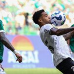 live video palmeiras botafogo live de la ora 1900 rivalele se infrunta in la mondialului cluburilor 685f7f1429287
