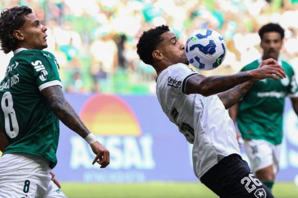 live video palmeiras botafogo live de la ora 1900 rivalele se infrunta in la mondialului cluburilor 685f7f1429287