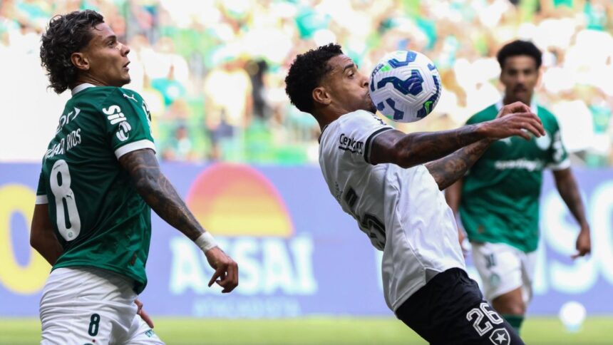 live video palmeiras botafogo live de la ora 1900 rivalele se infrunta in la mondialului cluburilor 685f7f1429287
